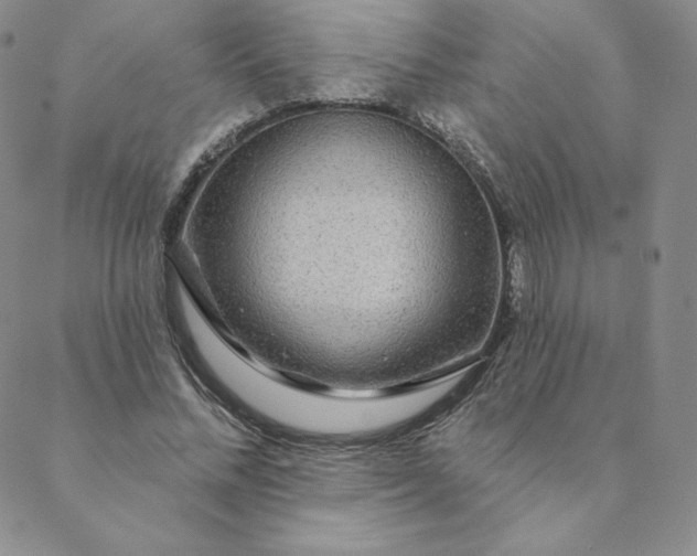 X0000088630684200706081547