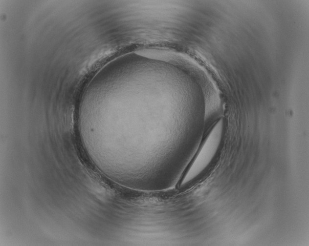 X0000088630685200706081547