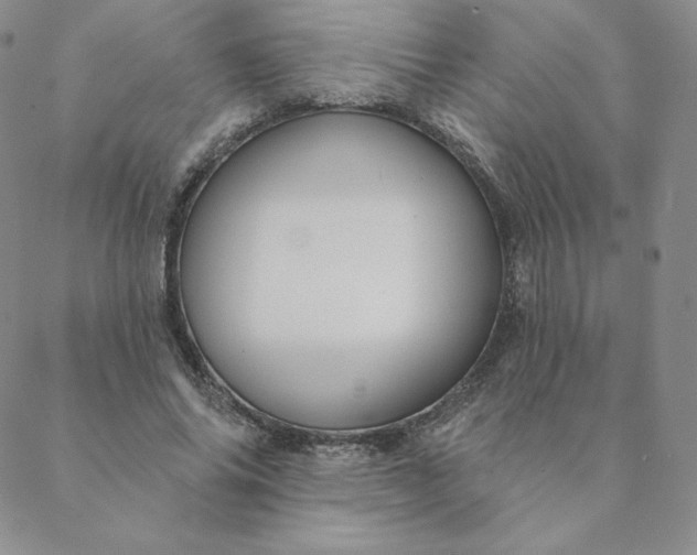 X0000088630686200706081547