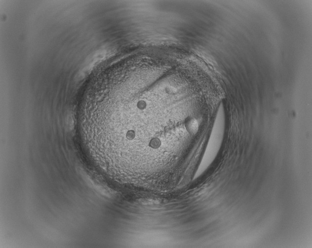 X0000088630687200706081547