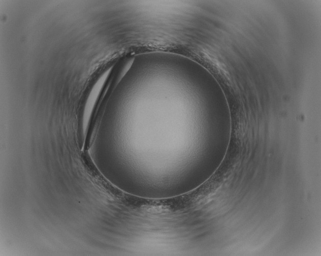 X0000088630689200706081547