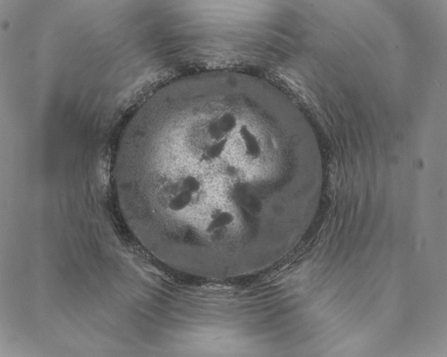 X0000088630691200706081547