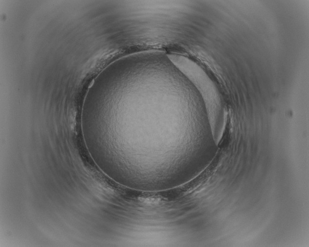 X0000088630693200706081547