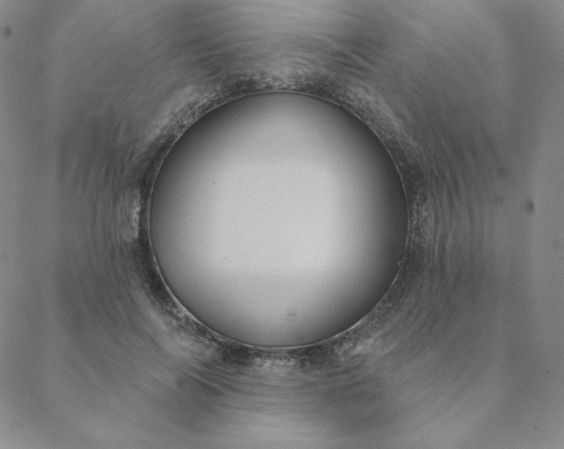 X0000088630694200706081547