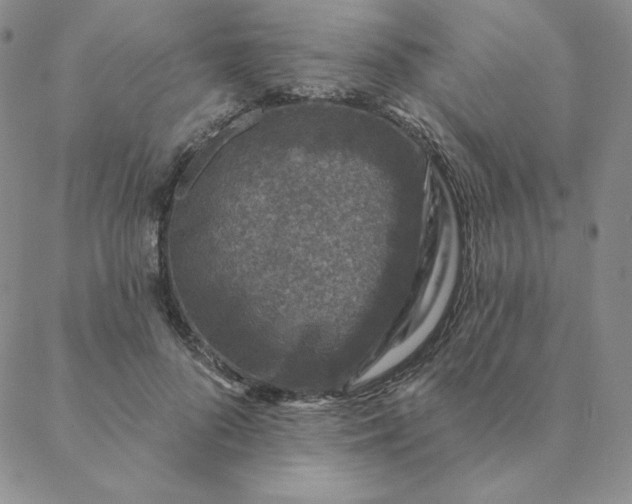X0000088630696200706081547