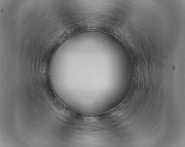 X0000088630698200706081547