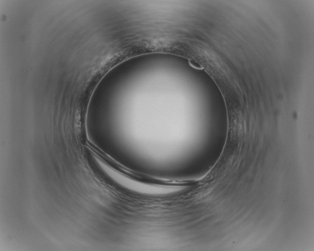 X0000088630700200706081547