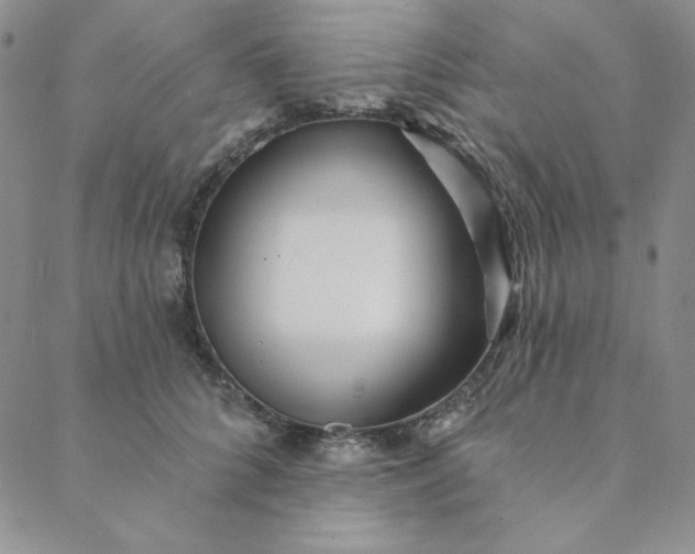 X0000088630704200706081547