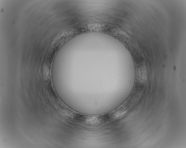 X0000088630705200706081547