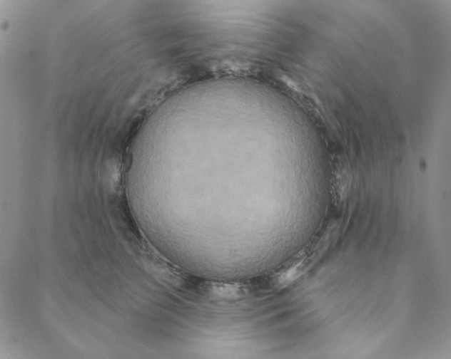 X0000088630709200706081547