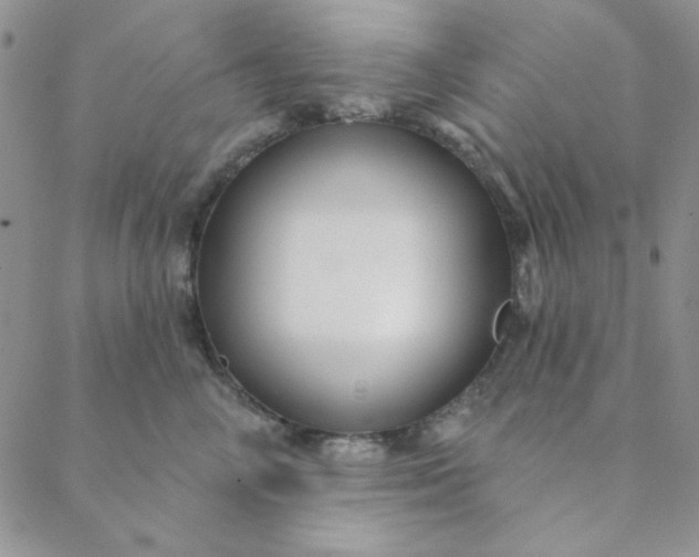 X0000088630714200706081547