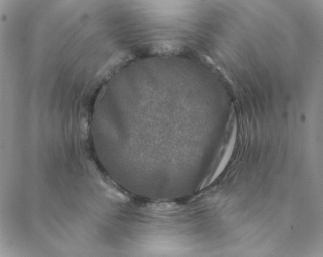 X0000088630716200706081547