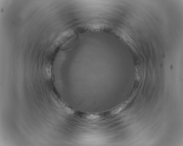 X0000088630718200706081547