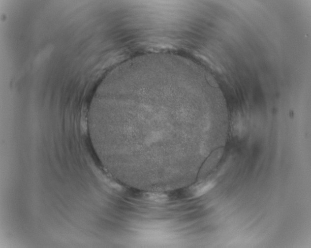 X0000088630719200706081547