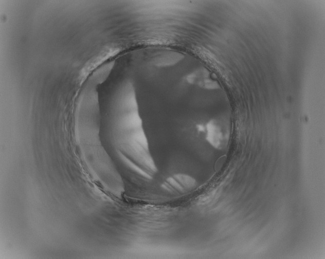 X0000088630721200706081546