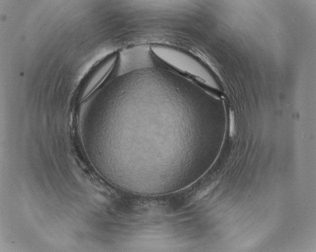 X0000088630723200706081546