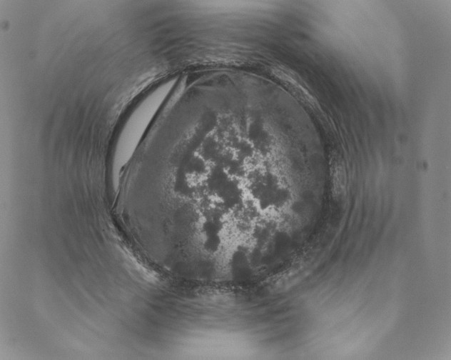 X0000088630729200706081546