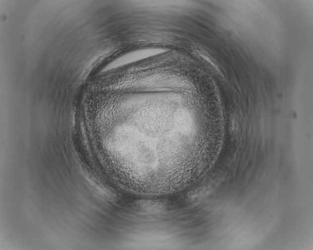 X0000088630733200706081546