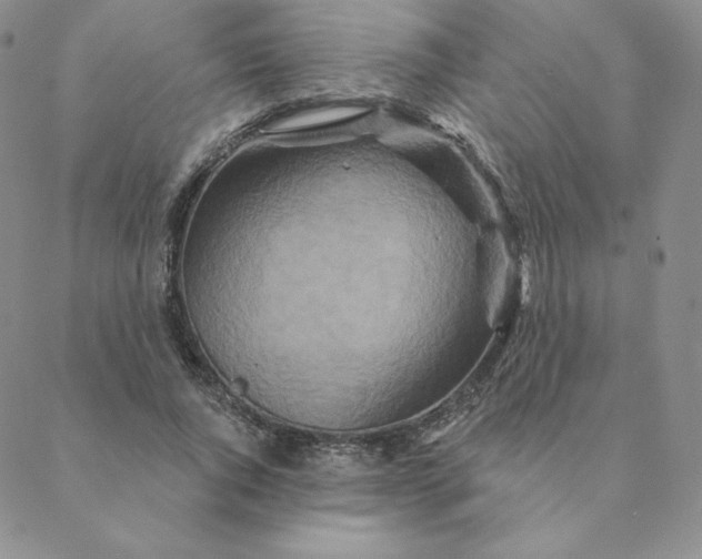 X0000088630736200706081546
