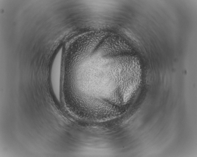 X0000088630737200706081546