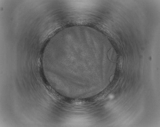 X0000088630746200706081546
