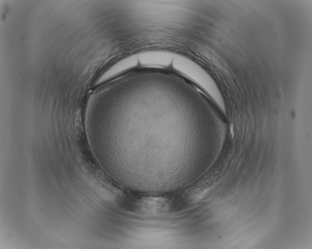 X0000088630748200706081546