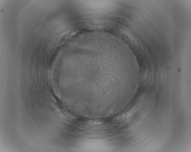 X0000088630749200706081546