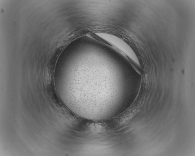 X0000088630751200706081546