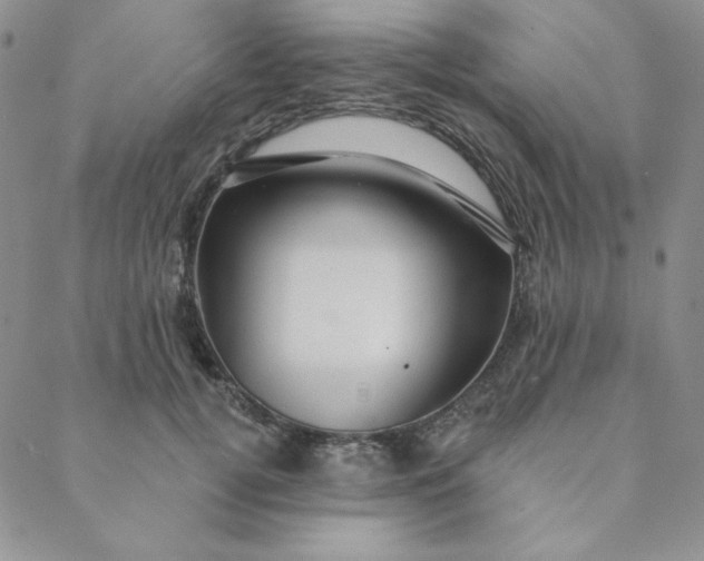 X0000088630752200706081546