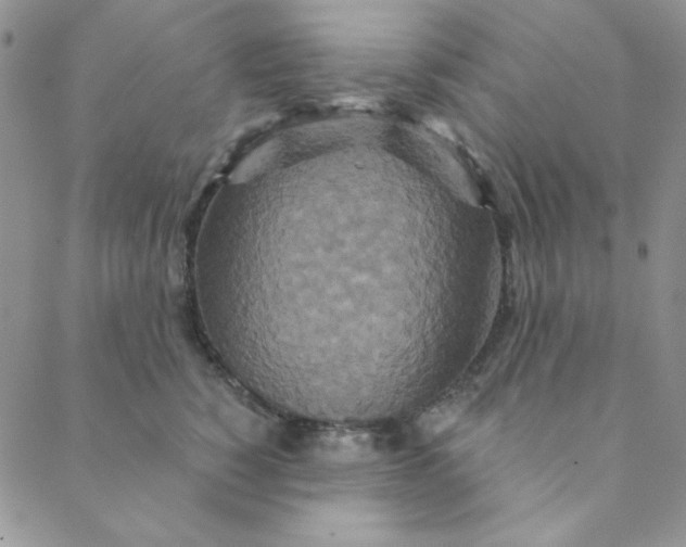 X0000088630760200706081547