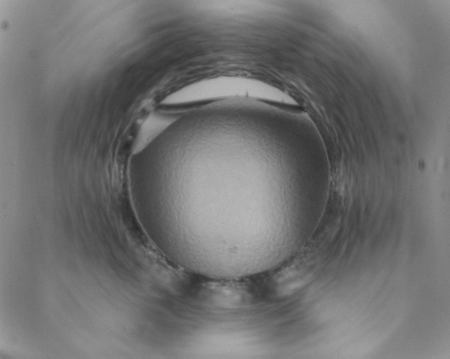 X0000088630763200706081547