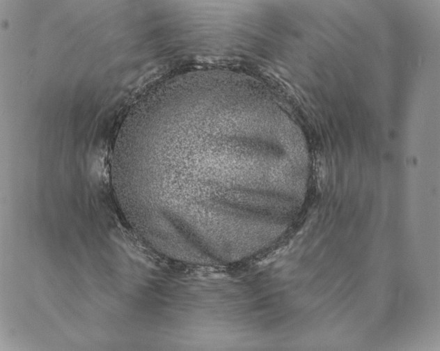 X0000088630770200706081546