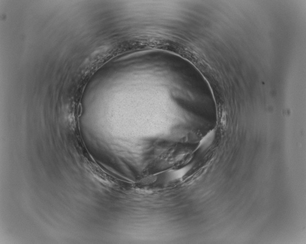 X0000088630771200706081546