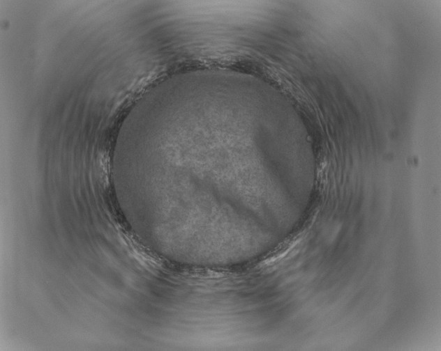 X0000088630772200706081546