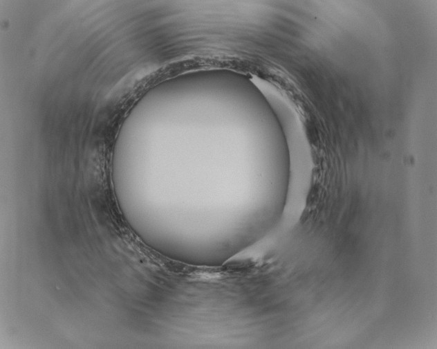 X0000088630773200706081546