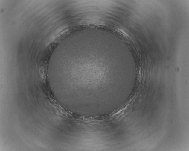 X0000088630774200706081546