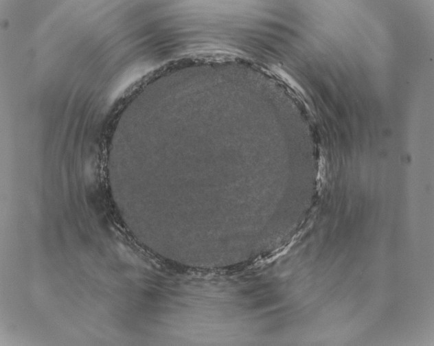 X0000088630775200706081546