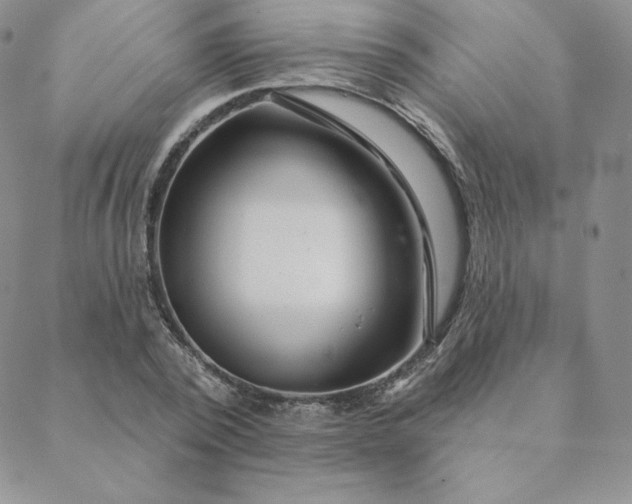 X0000088630784200706081546
