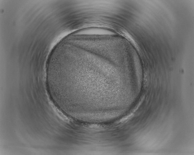 X0000088630787200706081546