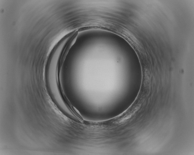 X0000088630788200706081546