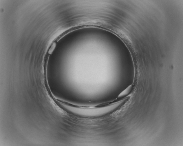 X0000088630792200706081546