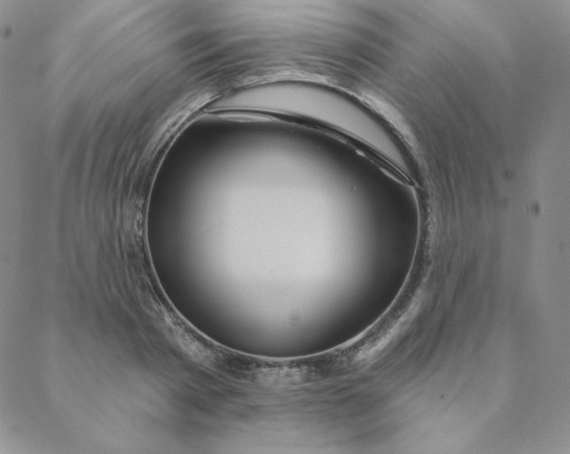 X0000088630793200706081546