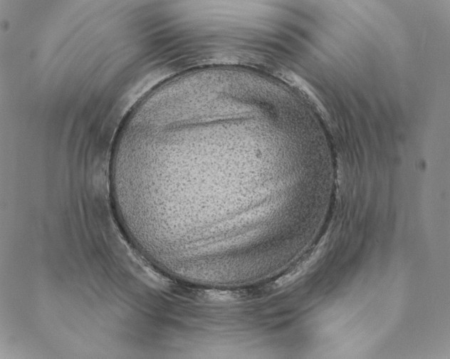 X0000088630794200706081546