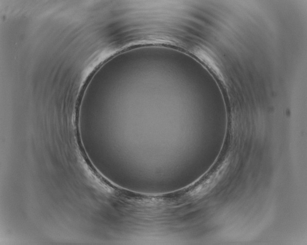 X0000088630797200706081545