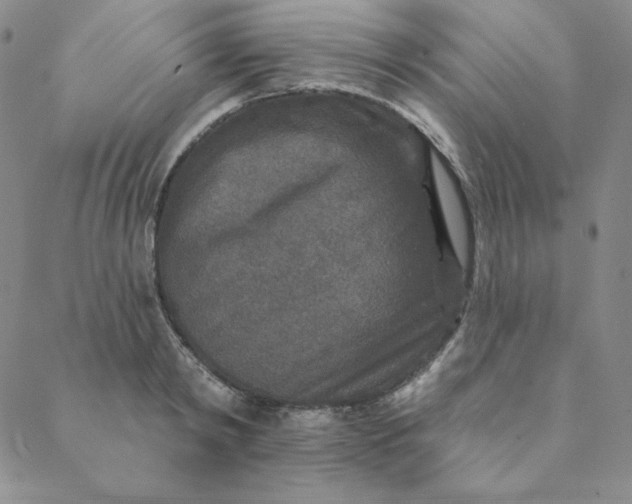 X0000088630798200706081545