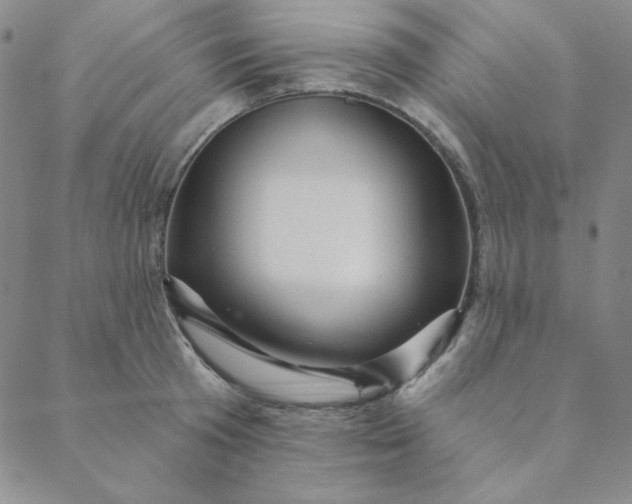 X0000088630801200706081545