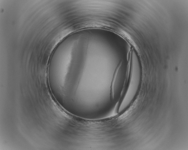 X0000088630802200706081545
