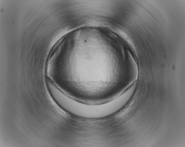 X0000088630803200706081545