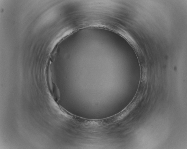 X0000088630806200706081545