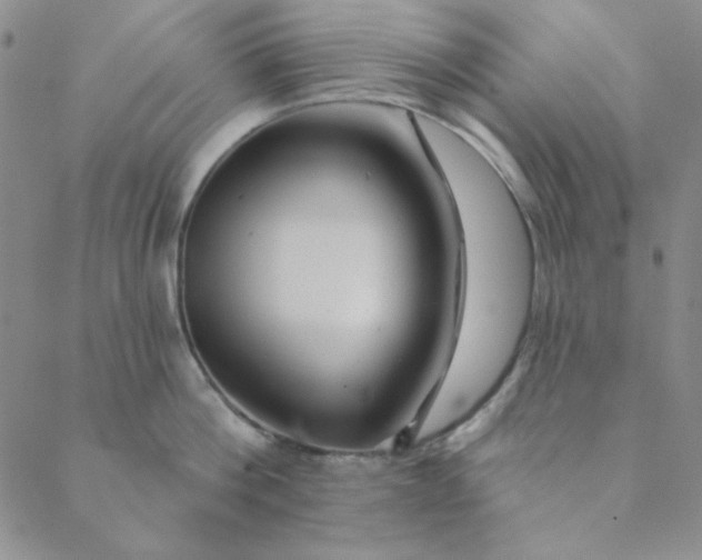 X0000088630812200706081545